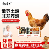 杨博士 皖南散养土鸡猪肉包组合 净重2.2斤 仔公鸡+黑猪包子3袋源头直发