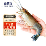 百鲜洽罗氏虾沼虾鲜活冷冻新鲜大头虾超大虾巨型淡水河虾海鲜水产虾类 16-20只/斤- 中号 1000g(净重)