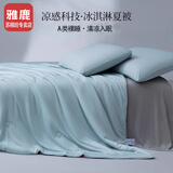 雅鹿冰丝夏被150x200cm夏凉被空调被可机洗薄被子单双人春秋被四件套 海青蓝【冰爽透气 舒爽一夏】 150*200cm【单人单夏被】