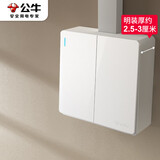 公牛（BULL）明装大板墙壁开关 G59系列 二开单控开关  G59K211