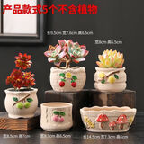 仟尚亿多肉花盆陶瓷个性简约室内植物创意粗陶花盆栽花盆透气大口径组合 JB桃红柳绿组合5个 中等