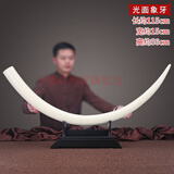 木普森简约现代象牙摆件客厅玄关电视柜样板房摆设仿猛犸象牙家居装饰品 特大号光面象牙