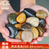 寿禾 鹅卵石石头大块水族箱鱼缸盆栽装饰铺路 2-4cm天然精抛鹅卵石1kg