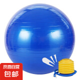 瑜伽球健身球感统训练瑜珈球大龙球加厚充气运动健身器材家用 瑜伽球-蓝色【65cm含泵气塞】