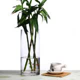 盛世泰堡 花瓶插花水养玻璃花瓶水培富贵竹大花瓶客厅摆件直筒款1230