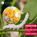 九千谷新鲜桑叶新鲜蚕宝宝饲料学生养蚕大叶小蚕鲜嫩桑叶 活蚕套装（天然蚕）
