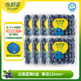 怡颗莓Driscoll's当季云南蓝莓12mm+ 8盒装 125g/盒 生鲜水果