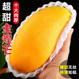 粤迎金煌芒芒果当季青皮黄皮大芒果新鲜水果甜心芒果广西整箱盒送礼 9斤优选装【香甜爆汁】净8.0斤