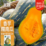 北蔬 南瓜种子种苗甘甜糯粉香味浓郁春秋季蔬菜种籽 香芋南瓜种子20粒