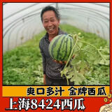 【南汇新鲜现摘】上海本地正宗南汇8424西瓜皮薄头茬原苗脆甜无籽 上海8424精品无籽瓜 【6-6.5斤】1个装 头茬现摘