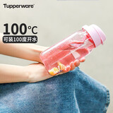 特百惠（Tupperware）乐趣550ML塑料杯夏季男女学生便携运动水杯子大容量双饮口 柔蜜粉