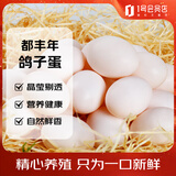 都丰年（DUFENGNIAN）鸽子蛋20枚共400g 鲜鸽子蛋 源头直发 杂粮喂养 孕妇宝宝放心吃