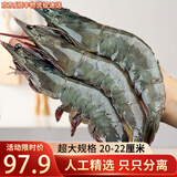 渔游记虾青岛大虾基围虾鲜活青虾白虾海虾对虾冰虾冻虾生鲜虾类海鲜 盐冻青虾20-22厘米 3斤(净重)  精选青岛大虾