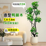 桌面有花鸭脚木客厅大盆栽室内阳台造型绿植物鸭掌木鹅掌财落地式大型摆件 造型鸭脚木1.4-1.6米+米白聚宝