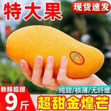 田拾记正宗金煌芒 肉厚核薄【闪送-多地次日达】新鲜水果海南仙纸核芒果 精选净重9斤装丨80%人选蕞划算 精选特级果丨单果300-400g+