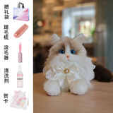 仿真猫咪玩偶布偶猫玩偶宠物小猫咪娃娃毛绒玩具女孩儿童生日礼物 布偶猫玩偶-白色婚纱围脖