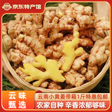 滇鲜生云南小黄姜新鲜生姜农家自种新姜新鲜蔬菜调味料原产地带泥发货 带箱小黄姜 1斤