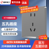 TEP 国际电工 暗装86型开关插座面板大板星空灰家用暗装墙壁电源五孔插座面板 五孔插座（10A）