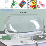 鱼缸透明玻璃办公桌圆形圆球圆型小型乌龟迷你桌面小鱼缸 25号（标配套餐）