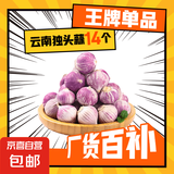 京喜自营云南蒜独头蒜调料京东买菜蔬菜 【14个独头蒜】总重 50g 单果1.5-2cm
