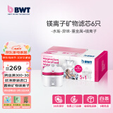 倍世（BWT） 第4代镁离子活力款滤芯 德国技术欧洲原装进口 过滤净水器家用滤水壶净水杯净水壶用 【镁离子】6只装