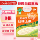 十月稻田 白糯玉米 4.16斤(260g*8根) 东北甜黏玉米棒 早餐苞米