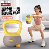 PROIRON普力艾 软壶铃 男女士提壶哑铃壶健身软底壶铃深蹲神器10KG