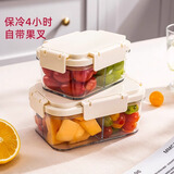 水果便当盒外出专用便携户外野餐露营食品级移动小冰箱水果保鲜盒 【无格】450ml冰晶盒* 单件装 （保冷4小时）