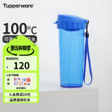 特百惠（Tupperware）茶韵500ML塑料杯 男女学生便携办公用水杯子大容量双饮口 纯净蓝