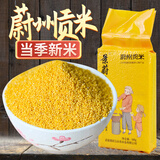 景蔚五谷香蔚县真空包装黄小米新米蔚州贡米 黄小米真空500g