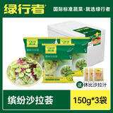 绿行者（GREER）新鲜蔬菜沙拉150g*3 现摘生菜组合叶菜沙拉健康轻食开袋即食 【含酱】蔬菜沙拉150g*3
