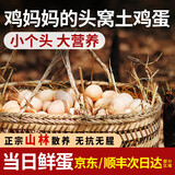 乡公馆新鲜初产农家散养土鸡蛋草鸡蛋宝宝蛋整箱婴幼儿辅食天然营养鸡蛋 初生蛋30枚