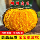绿食带山东正宗贝贝南瓜板栗小南瓜粉糯香甜新鲜蔬菜产地直发 实惠装【净 4.5斤 】4-9个