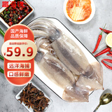 富海锦鲜冻整只大鱿鱼2斤 3-4条 铁板鱿鱼火锅烧烤食材 海鲜软足类送礼