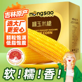 东北农嫂糯玉米甜糯香粘真空装黏玉米棒粒吉林产低脂主食可选有机 【吉林】黄糯玉米 1.6kg*1箱 约8穗