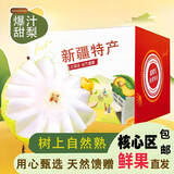 正宗新疆爆汁酥梨梨子新鲜水果当季现摘脆甜多汁梨子生鲜整箱 4.5斤精选家庭装净重约为4斤