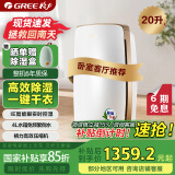 格力（GREE）除湿机/抽湿机家用20升/天卧室客厅除潮除霉除湿器干燥器可干衣智能控湿可定时母亲节送礼DH20EH