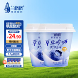 兰格格草原酸奶 野生蓝莓300g*2杯0蔗糖酸奶 生鲜低温 酸牛奶