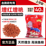 宝赠红海丰宝赠红 鱼食血鹦鹉增红鱼饲料增艳罗汉鱼发财鱼起头鱼粮 中粒2.4mm 1000g 1袋 上浮型