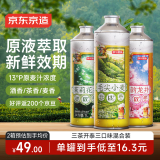京东京造桃韵龙井毛尖小麦茉莉花茶精酿啤酒春日出游1L*3整箱三种口味