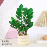 绿有意 绿植花卉办公室客厅桌面盆栽摆件简约创意网红北欧绿植ins云朵盆 金钱树+甜甜圈PET树脂盆+托盘+肥料 北欧风格网红绿植