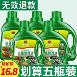 大海边 植物营养液通用型水培浓缩绿植养花卉花肥盆栽君子兰发财树绿萝 通用型500ml*5瓶【绿植花卉】