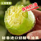 鲜级佳秘鲁进口牛油果鳄梨非即食宝宝营养辅食多地次日达新鲜水果当季 微催熟100-140g 【6个装】