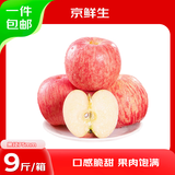 京鲜生 山东烟台红富士苹果 净重9斤 果径75mm+ 新鲜水果 源头直发