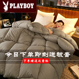 花花公子（PLAYBOY） 羽丝绒被子冬被10斤秋冬棉被8斤冬季加厚宿舍单人被芯双人四季被 灰色 2.0X2.3【6斤春秋冬款】送被套
