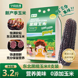 华田禾邦东北黑糯玉米8支 3.2~3.6斤 新鲜玉米棒健身杂粮礼包 烧烤食材