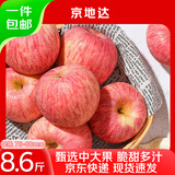 京地达烟台红富士苹果 8.6斤中大果75-80mm 新鲜水果源头直发包邮