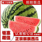 正宗麒麟大西瓜当季现摘爆甜新鲜水果云南特产西瓜生鲜整箱 4.5斤精选家庭装净重约为4斤