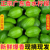 正宗无籽广东香水柠檬新鲜当季商用一级果应当季水果奶茶店专用 广东香水柠檬 1斤 净重 80-100g 大果