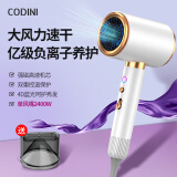 CODINI 科迪妮德国工艺高速吹风机家用大风力不伤发负离子静音电吹风吹头发